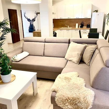 The Elite Suite Downtown A/C & Garage Parking Bratislava Extérieur photo